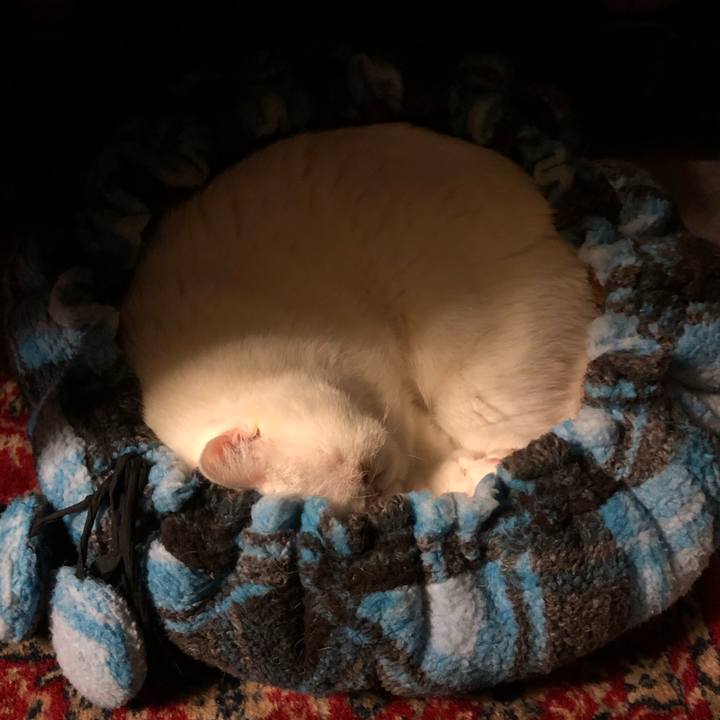 1c061a2a fa13 41f2 be85 e5159a2495aa 1647087973196