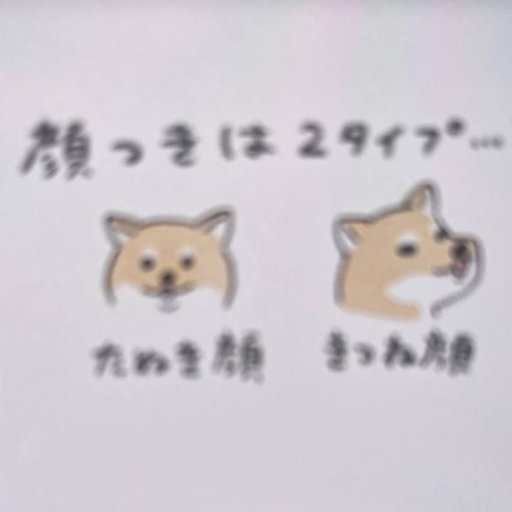 1c0631ff cd5e 48cb af22 93631ffd7844 1713885133376