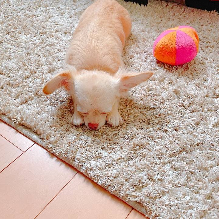 1c0647db bfa4 4914 b25b 2f6deef68695 1631413292102