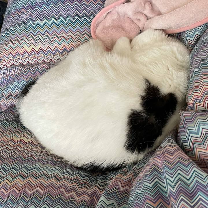 1c06515c 241c 46d8 9d24 88de7beeb383 1619396550156