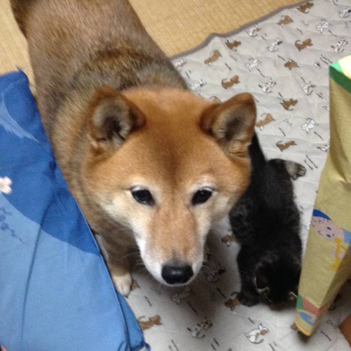 1c067d49 8394 47f0 8c72 2a560d222183 1526196072126