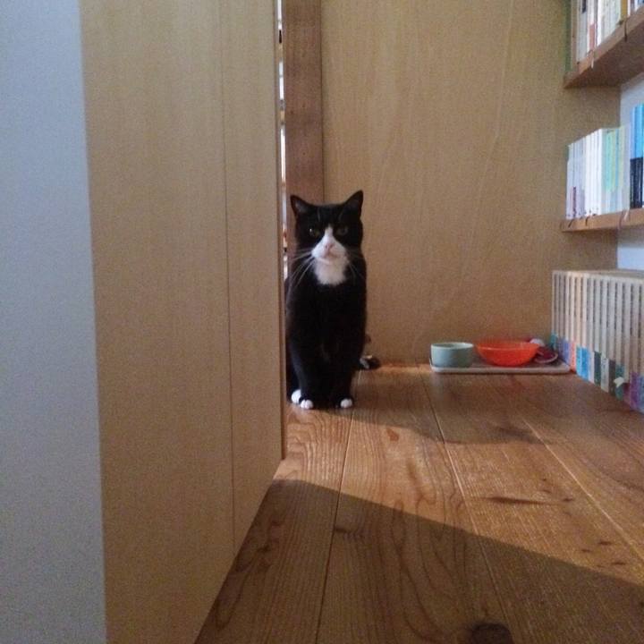 1c06b808 84ad 471a 82bc 46eb02ad080c 1533595613961