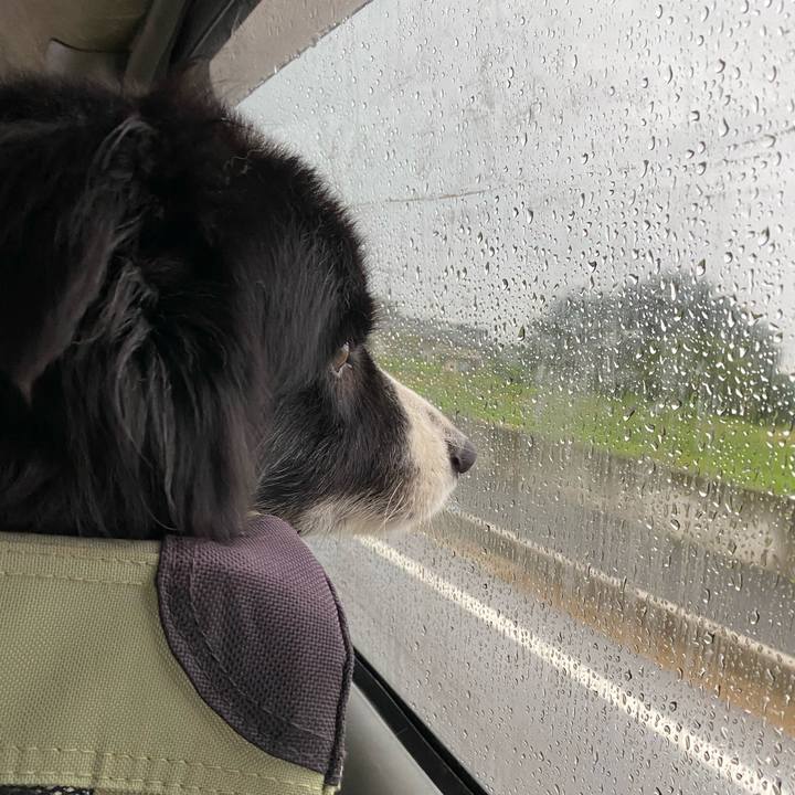 1c06b997 ee64 4af9 8f61 5c0a4c8ee28e 1631570731142