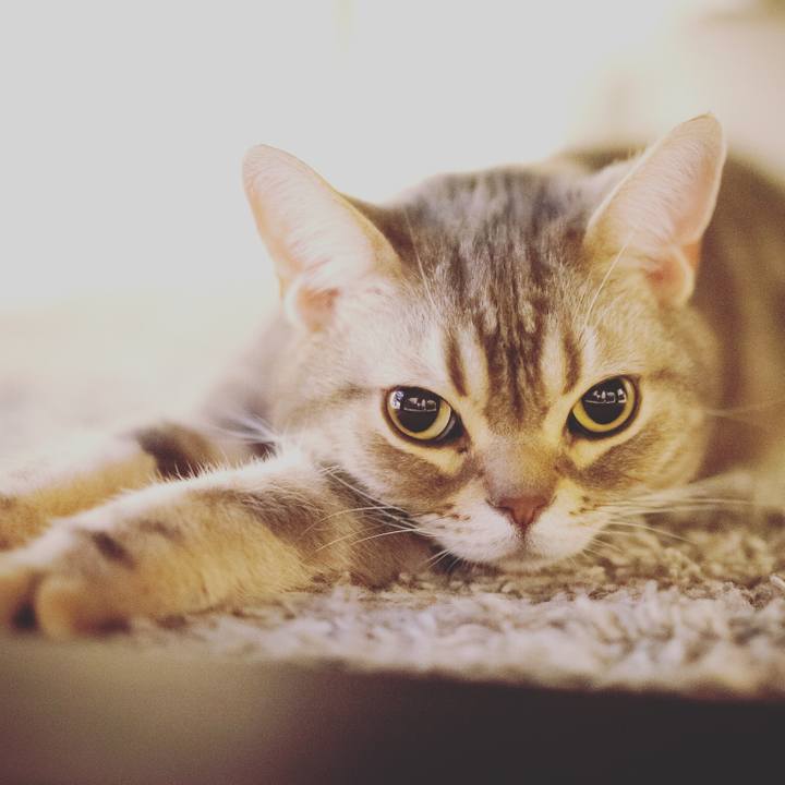 1c06c201 6ed9 4d4b 9343 3f8d30cf24fb 1548819502665