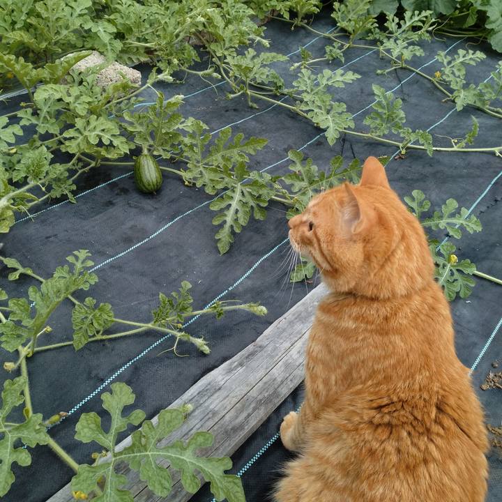 1c06d05f 0f26 4fd8 9489 d4a0f69730ad 1719910948433