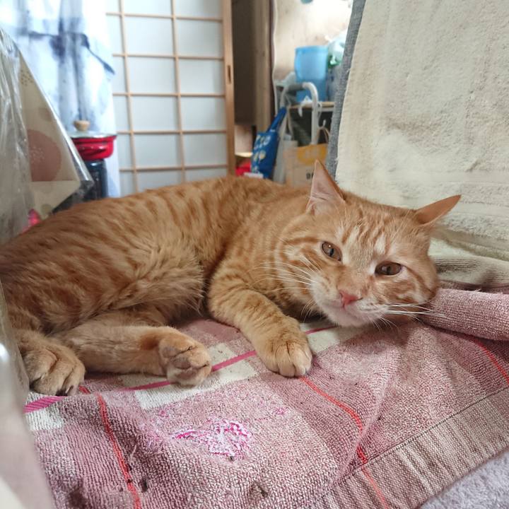 1c06da10 c573 43e8 91c7 b39e362e4545 1643606737410