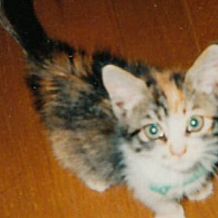 1c06ec28 c956 45ad 8a3c b064cae52a70 1547636304231