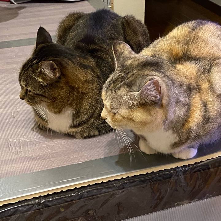 1c06f536 80d7 413e 88b2 4d4f978116f0 1647254512146