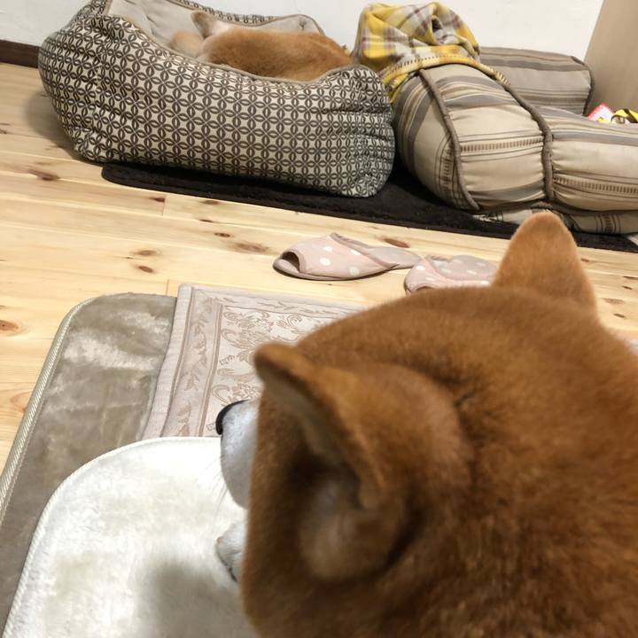 1c06f5a7 3cd8 4d6b 8b6b b461f0ad034e 1544874404169