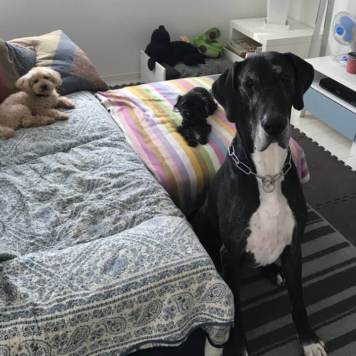 1c071cbd 27e2 42e2 a4fe 5a79e7c5397a 1528066083519