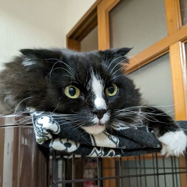 1c073fd2 36e5 4ae8 9769 d05b90c90f6e 1672189916813