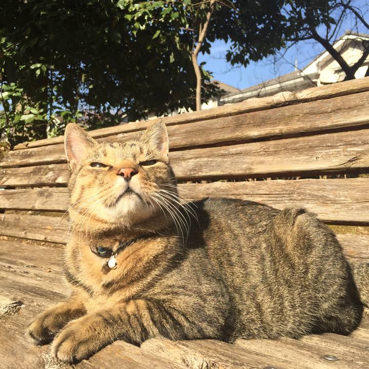 1c0747f7 8446 4929 9ae2 f982a4374f63 1513480188349