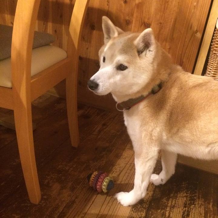 1c07a89d d777 470e 9ca4 00cc6325c1ea 1549896590531