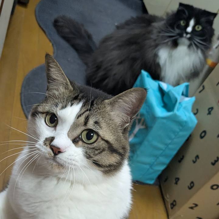 1c07cb34 bf10 4501 a554 7931e869c851 1769675845221