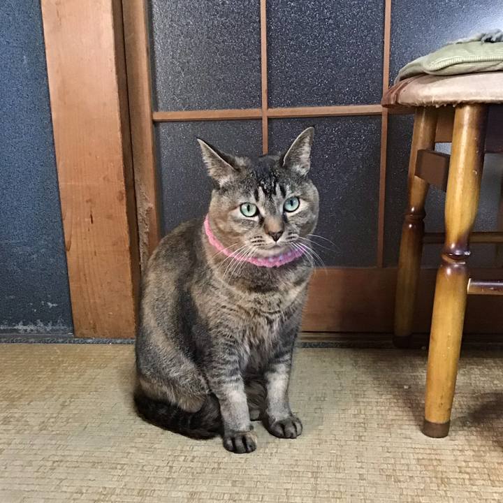 1c07f414 f612 4a2c ae6c e36d8a4407f6 1744794050983