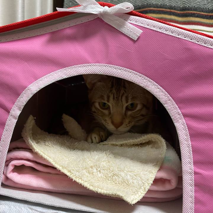 1c08093a e4c2 45be 905f ce5300c030b8 1604309090215