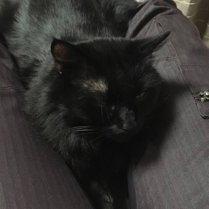 1c0850d9 aae8 4c7e 8db2 da2a3b61b17c 1515228847426