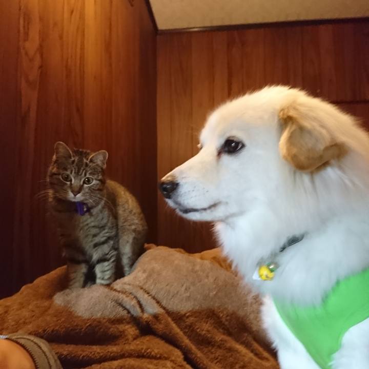 1c089448 eb74 481b bd88 a4a0fb150745 1552831598027