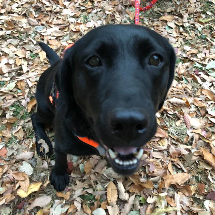 1c089b6c 9dc1 4ba4 9ed7 60b1bfff408f 1606204259783