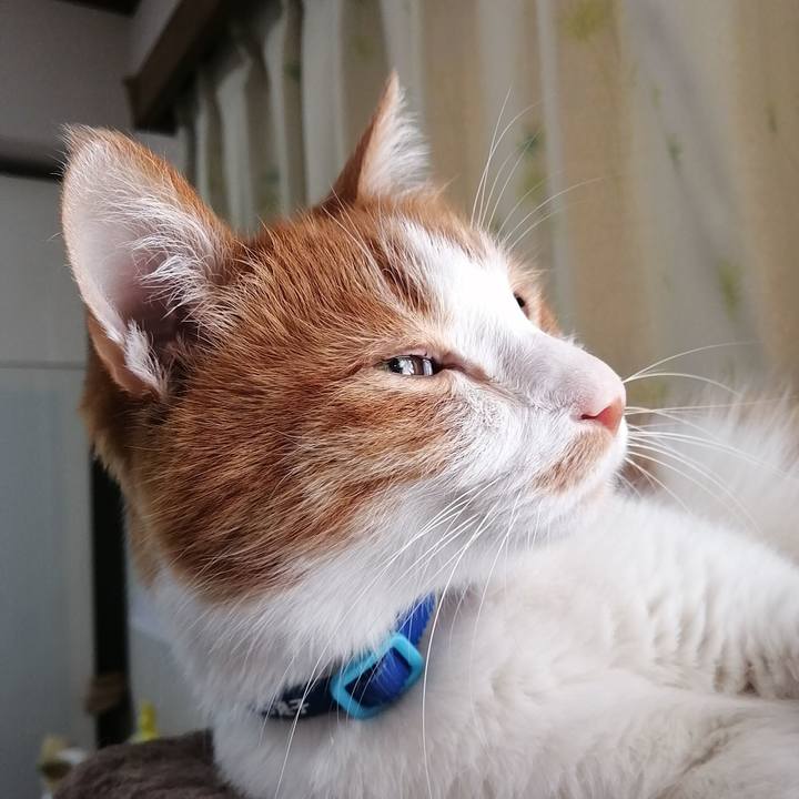 1c08a159 4728 4504 896f bd10e24fbec3 1640993830427