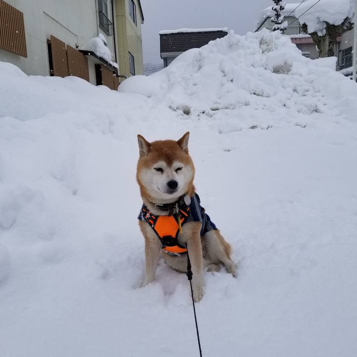 1c08aec4 73c3 411b 880d 68d6a393c6f1 1641358090379