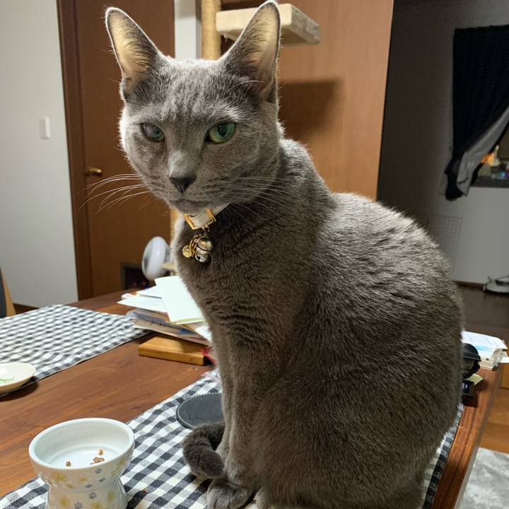 1c08e57a 5b9f 40f5 8178 36362c74c5d6 1667990233379