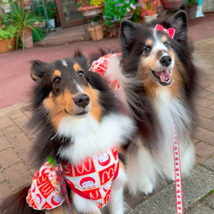 1c08e66b 9358 4640 90e6 1c6489d549e8 1759942044712