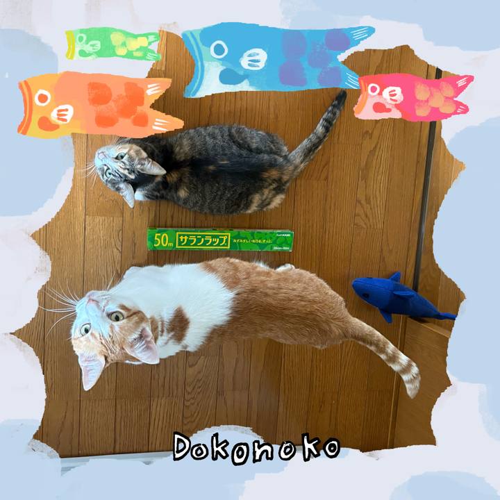 1c08ee77 4d18 4f5d bf68 64fbbc07e0e4 1749166060338