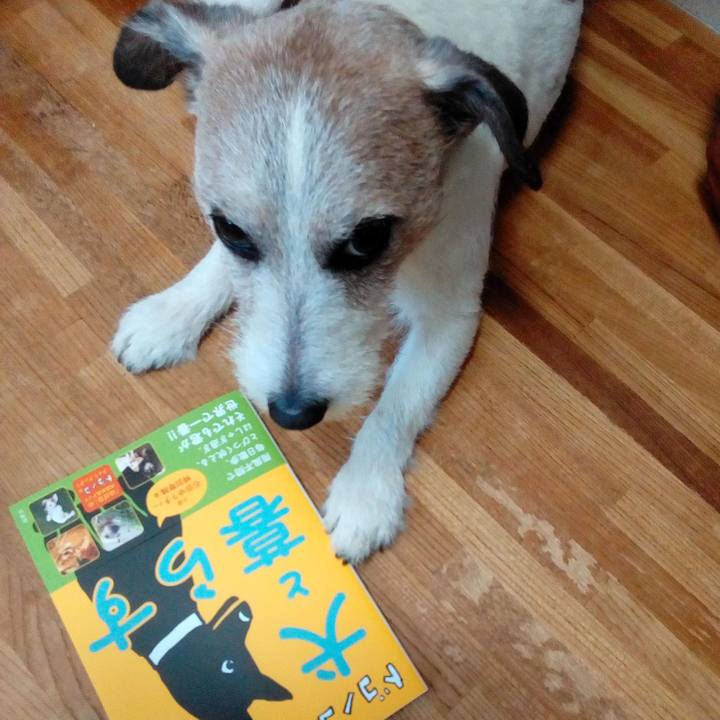 1c08f849 e9ea 43b1 8f66 7ce47c35ee9e 1557385550491