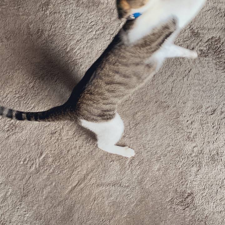 1c09230e 7536 4e96 a2fb db6387764b2f 1546256458237