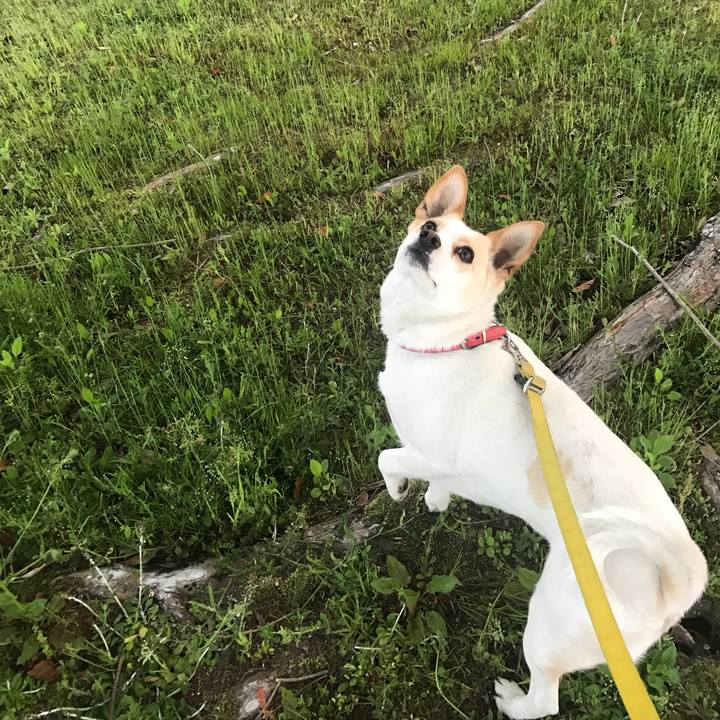 1c092cb5 70ae 445d 8484 d19d85236876 1559049875585