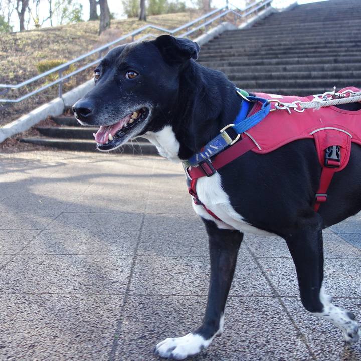 1c0934dc 2954 4fcd be3d 90f5fab14484 1679185470624