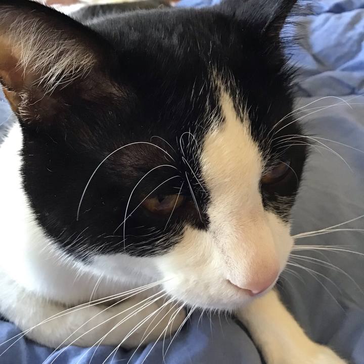 1c09690e 262b 4d02 b5f3 a1d48b1dc883 1651654606888