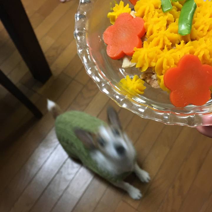 1c09746a 517d 4635 b142 afe5c521bbeb 1609550867378