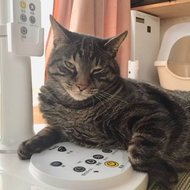 1c097563 47d3 4fca 9b9a 76205780691e 1598589908519