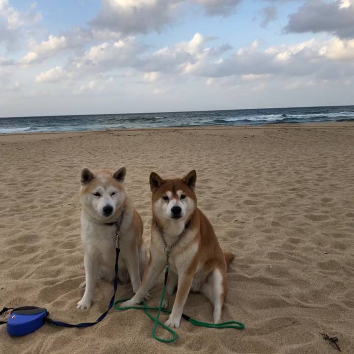 1c097762 7c4f 457d 931f 8acbc8faba22 1543488174997