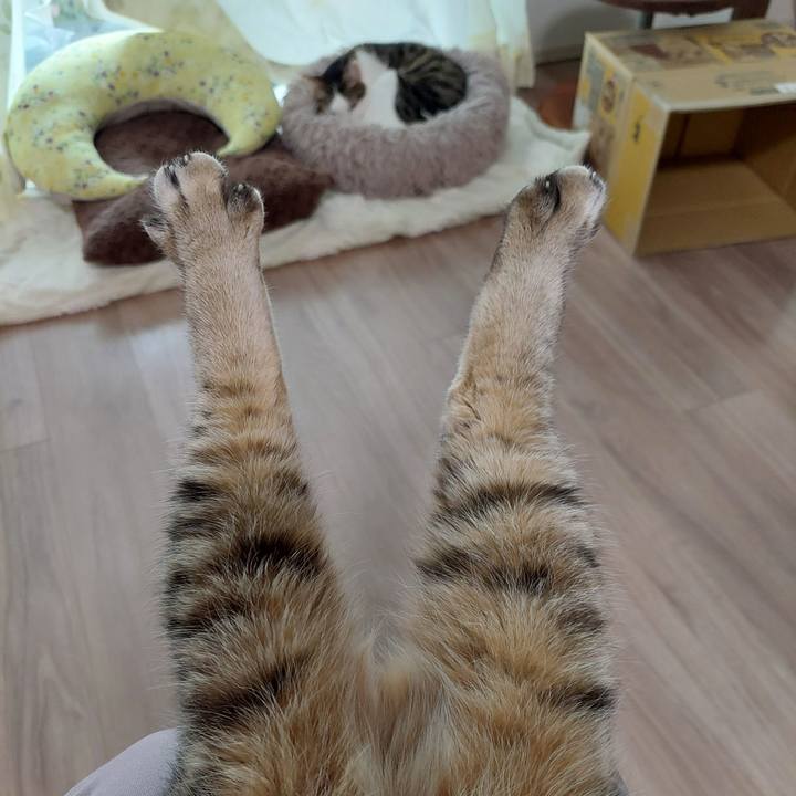 1c097a59 5fb7 47be a30e c49fb6ffbee5 1770676405592