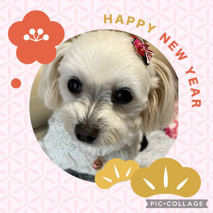 1c097c3e e566 40a0 91ba 695451e2d1f2 1672543948380