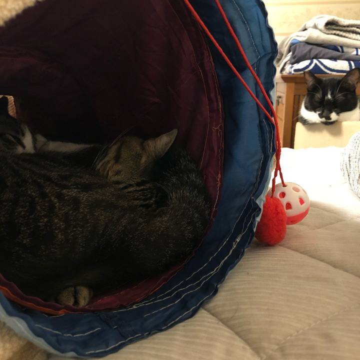 1c09986b aa0e 4fa6 a685 597d8bedd932 1537952955652