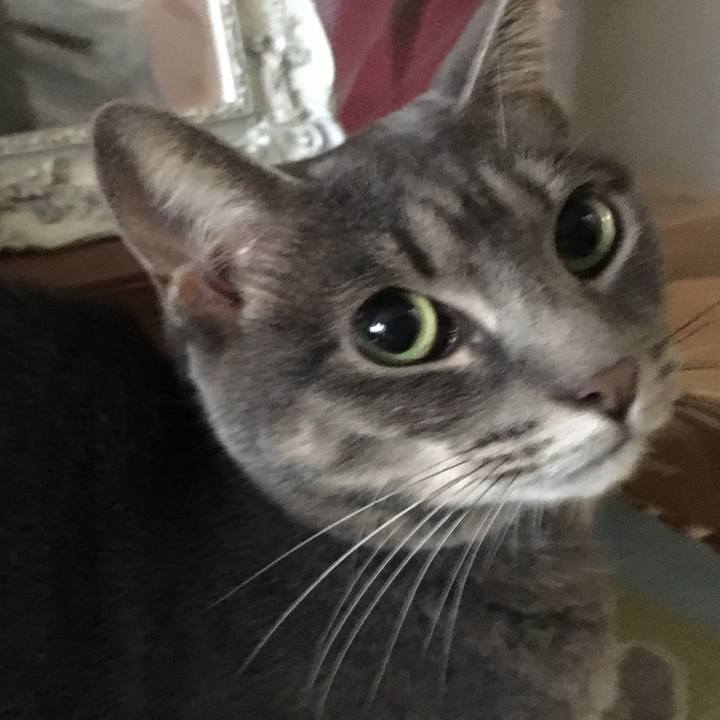 1c09bc9f 6ec9 4b93 adc0 b3567e1a4b02 1569453347681