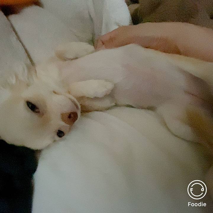 1c0a2273 ccd9 4fa6 a66a 215d154f3538 1601760494700