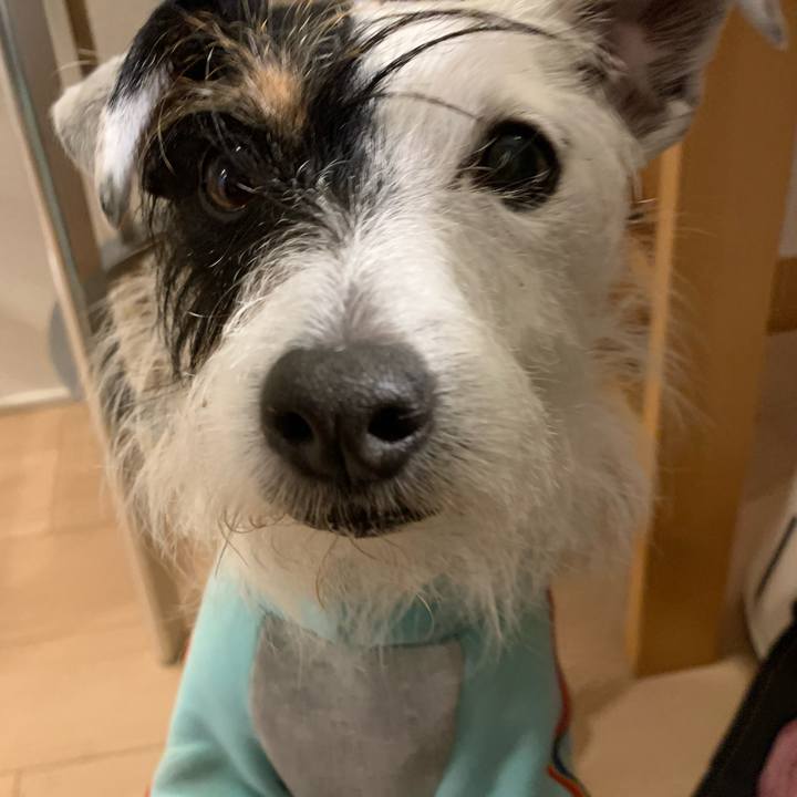 1c0a4346 e902 44ac 8885 824fcad06a54 1642850132799