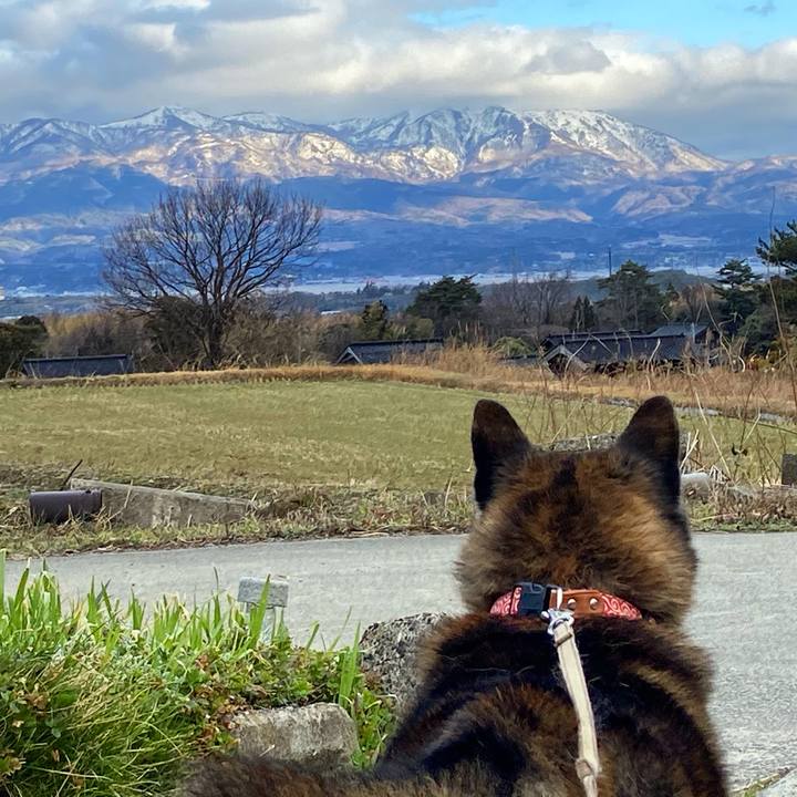 1c0a8833 575c 4de6 ab73 51e244bae81d 1615199710020