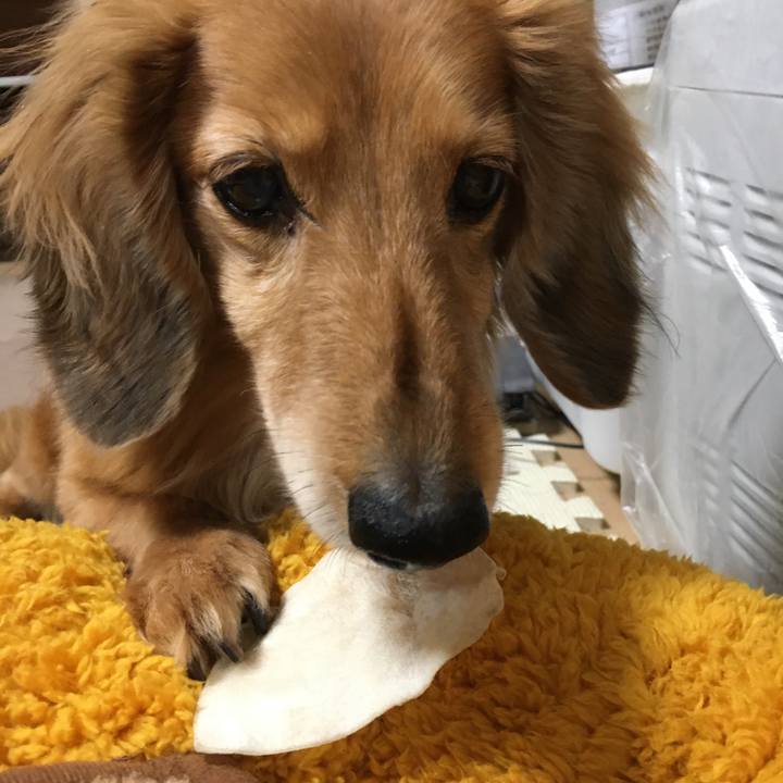 1c0ac790 8792 45b4 8451 ae8d9274f097 1611059004752