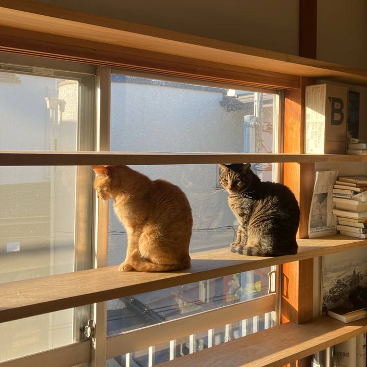 1c0ad09e a5ae 4559 8620 05eb2013bc37 1704505663538