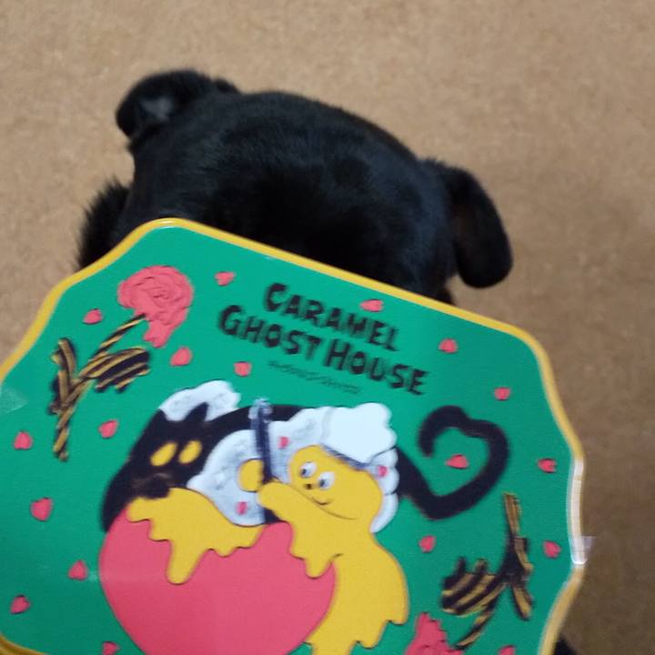 1c0b0b9e 8c2c 4465 a215 ae6efbaea71e 1581240715216