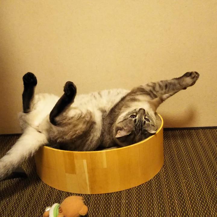 1c0b44ce 0772 41bd ac4e 8eff3ee24c8f 1591627896344