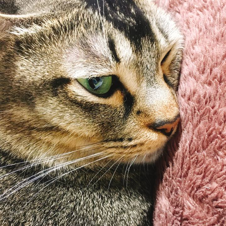 1c0b49e0 abfb 4b70 b0b7 aac5ba2ec9b3 1543660540198