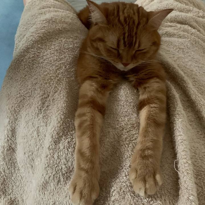 1c0bb194 ceea 44eb 8a04 b5e2f64ad8a4 1632179476512