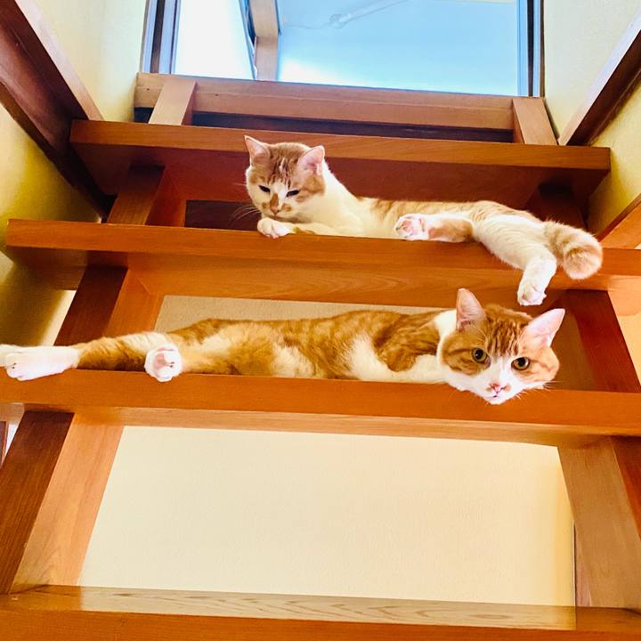 1c0be945 3048 45b7 a849 30c7b6abfe54 1659265210757